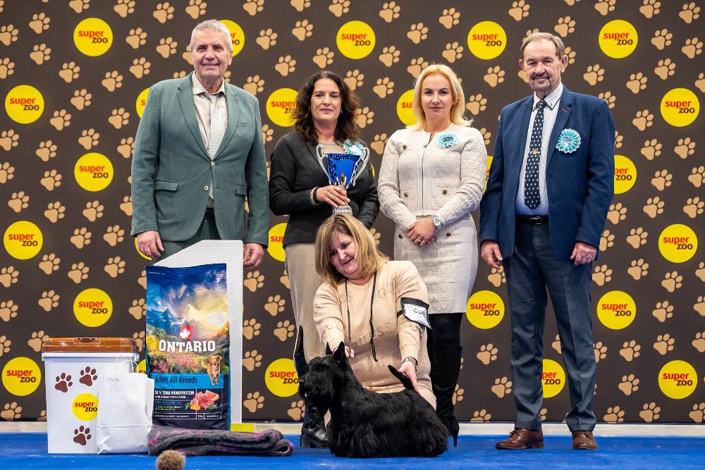 Mimořádný úspěch